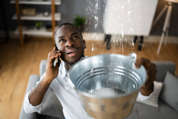 Best Ceiling water damage repair  in St Bonaventure, NY