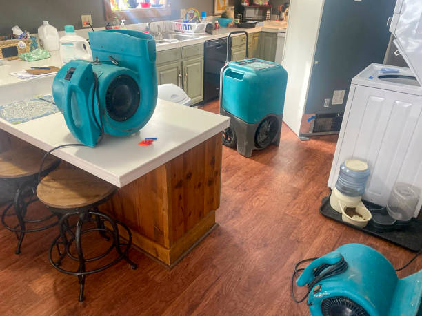 Best Water damage restoration near me  in St Bonaventure, NY