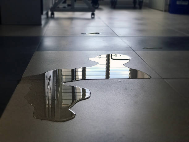 Best Water damage contractors near me  in St Bonaventure, NY