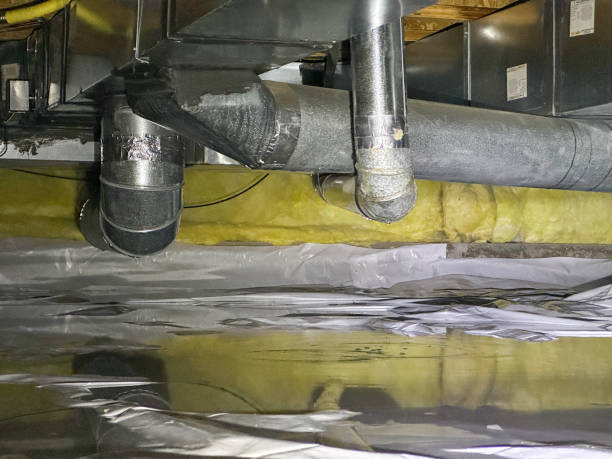 Best Basement water damage restoration  in St Bonaventure, NY